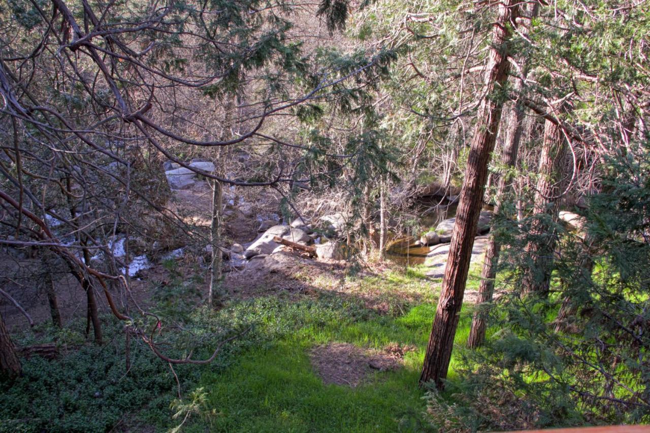 فيلا Sierra Springs آوكهيرست المظهر الخارجي الصورة